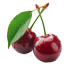 Ginja Cherry